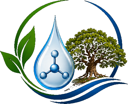 DMSO Perú